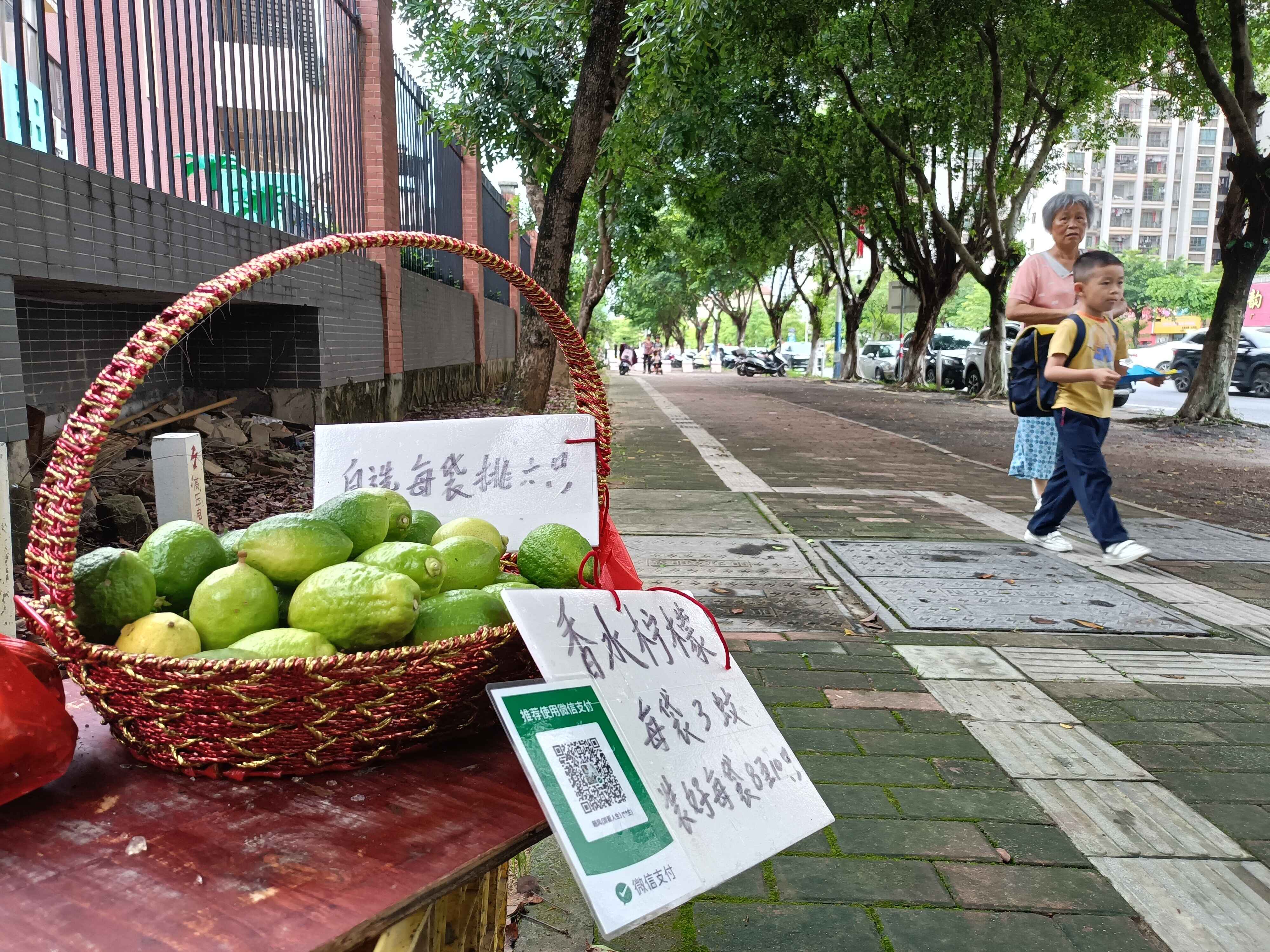 云浮市区街头现水果无人售卖点 “小果摊”折射“大文明”