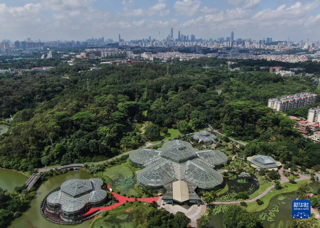这是2022年7月11日拍摄的华南国家植物园（无人机照片）。 新华社记者 邓华 摄