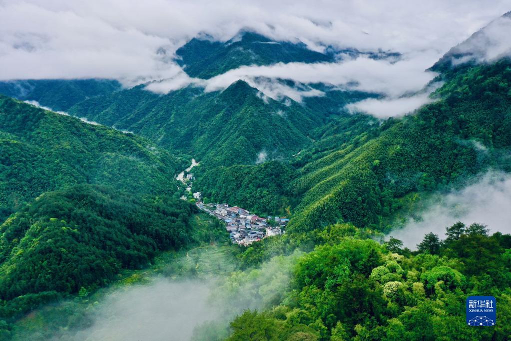 这是武夷山国家公园腹地桐木村景观（2021年5月17日摄，无人机照片）。 新华社记者 姜克红 摄