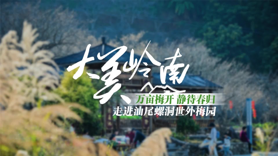 汕尾螺洞世外梅园：万亩梅开 静待春归 | 请到广东过大年