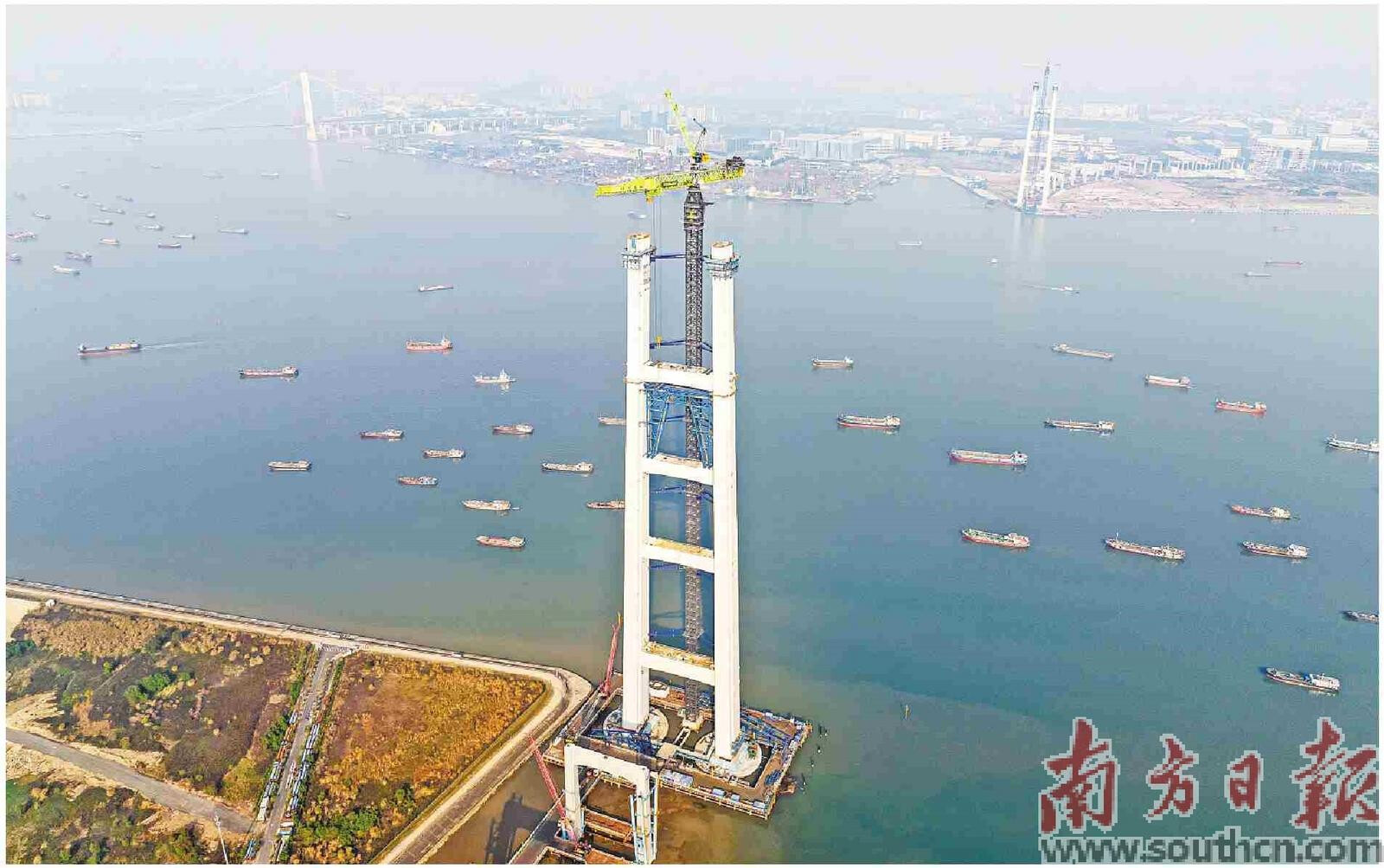建设中的狮子洋大桥主塔高度突破300米，成为珠江口第一高塔。南方日报记者 石磊 通讯员 张政 摄