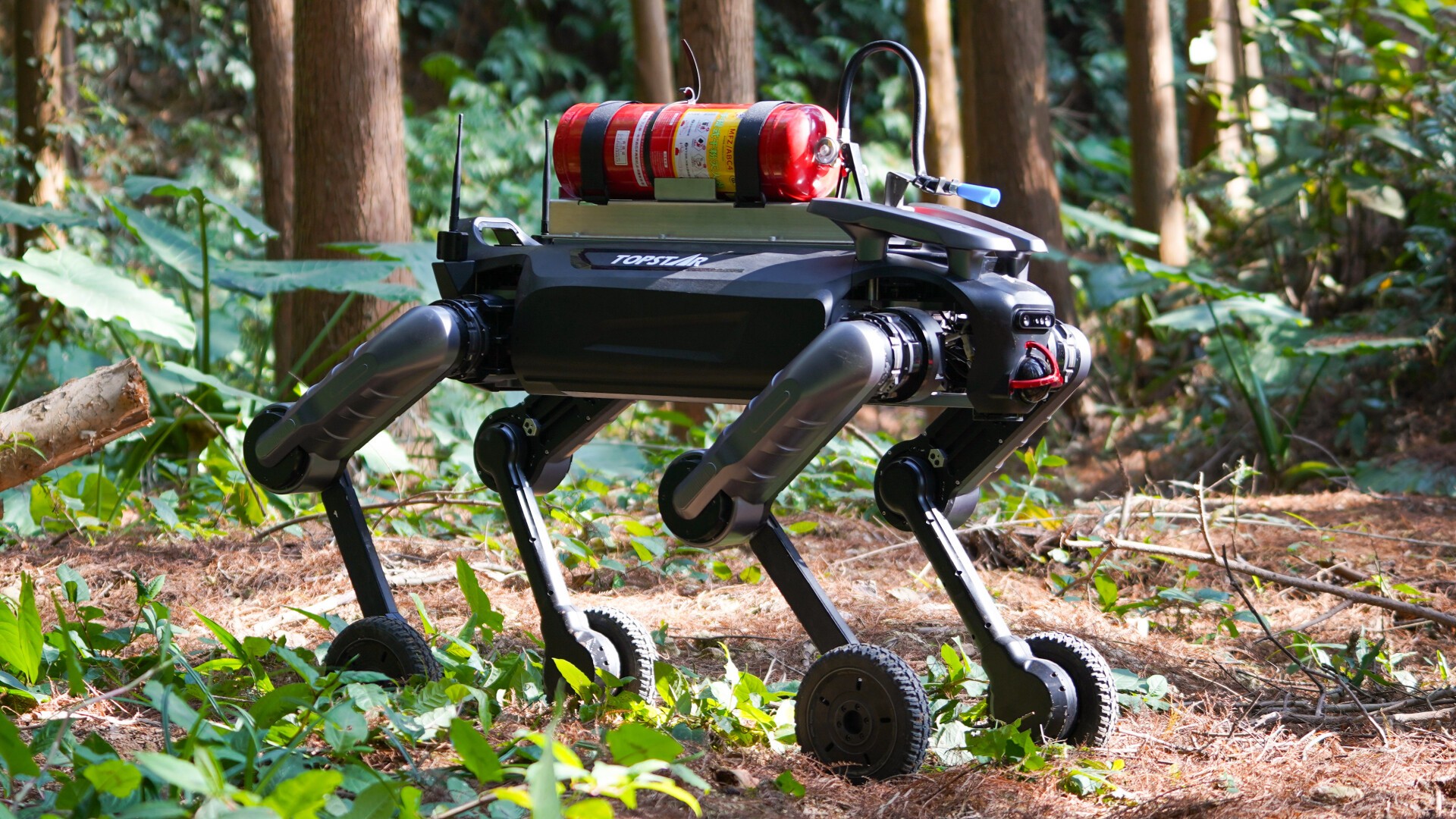 TOPSTAR launches quadruped robot "Xingzai", expanding Songshan Lake's robot industry cluster