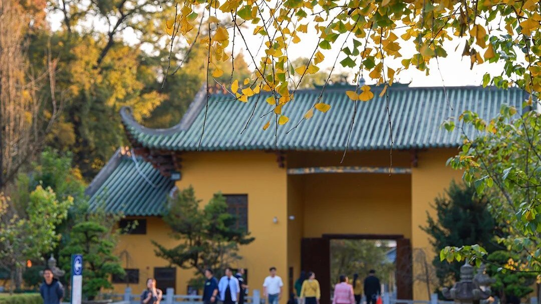 Slow down and explore Shaoguan's Qujiang in a day