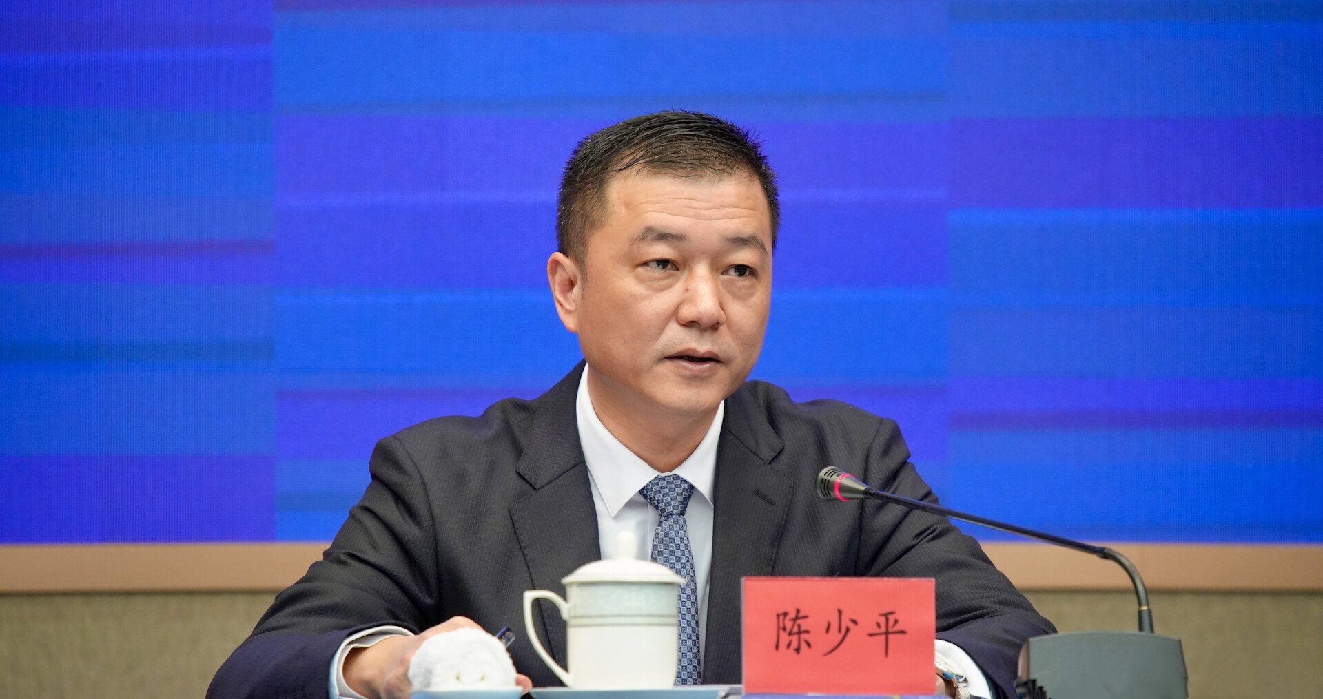 揭阳市发展和改革局局长陈少平。