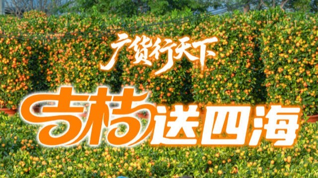 南农晨读｜吉桔送四海