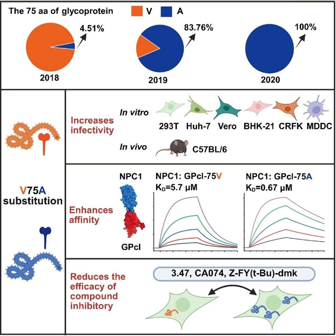 GP-V75Aͻ����ǿ������Ⱦ�Ե�ģʽͼ
