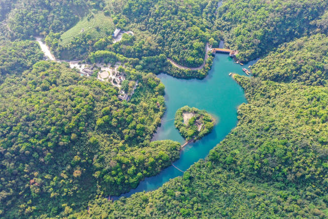 肇庆鼎湖山风景秀丽。梁亮 摄