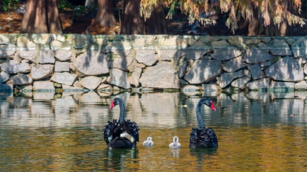 Guangdong sees gradual temperature rise after cold spell