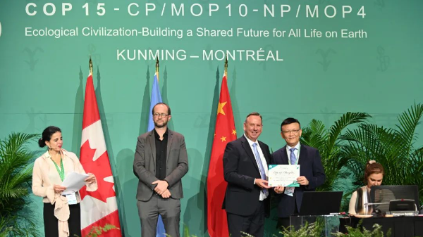 Shenzhen included in CitiesWithNature initiative COP15