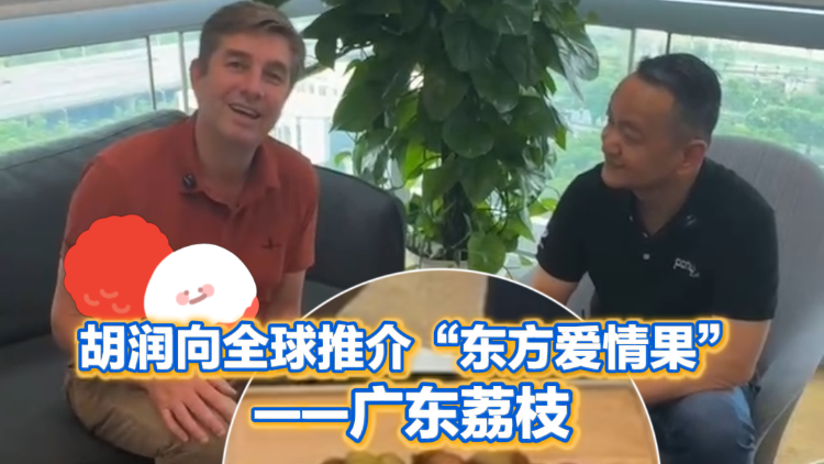 东方爱情果!胡润向全球推荐广东荔枝