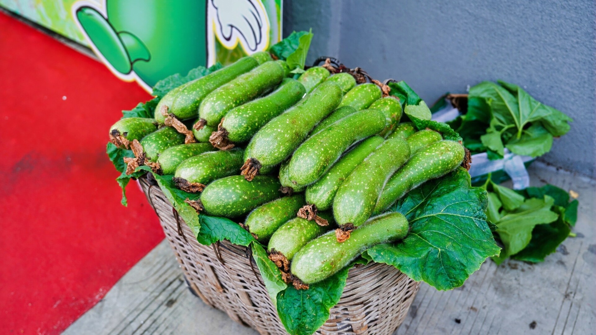 Come to Foshan's Shunde to taste special zucchini!