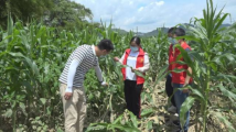 减少灾情影响,牢牢稳住农业基本盘!广东各方在行动 减少灾情影响,牢牢稳住农业基本盘!广东各方在行动
