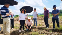 广东粮食守卫战:洪水台风先后侵袭之下,提前部署赢得主动权 广东粮食守卫战:洪水台风先后侵袭之下,提前部署赢得主动权
