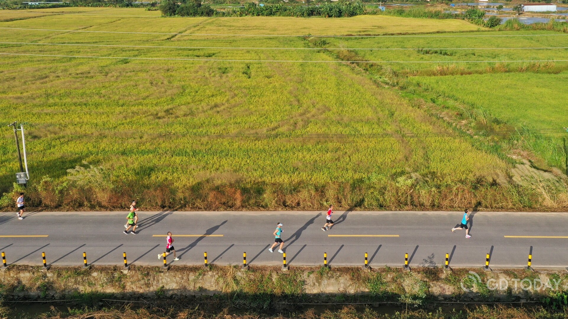 Thousands of runners dash through Paddy Field Marathon