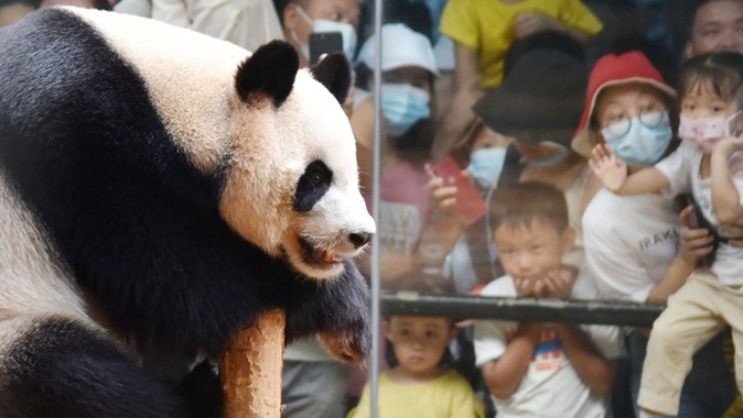 世界动物日 深圳动物园国宝齐聚欢迎游客