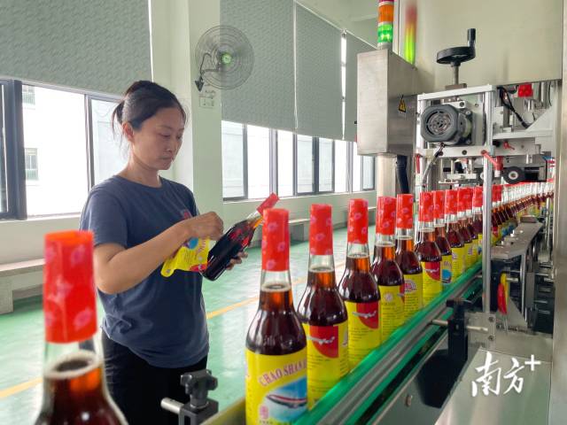 汕头鱼露厂生产车间，车间质检员对贴标后产品例行检查。  南方+ 余丹 拍摄