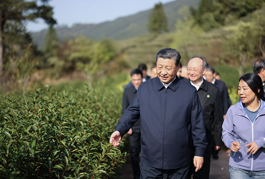 　　2021年3月22日，习近平总书记在南平武夷山市星村镇燕子窠生态茶园，察看春茶长势，了解当地茶产业发展情况。新华社记者 王晔 摄