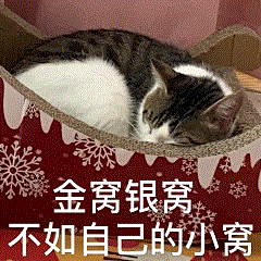 粤省事_20250520_094937.gif