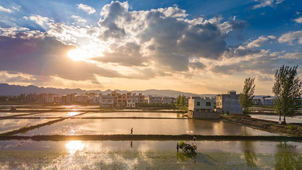 Farmers busy with their work upon Chinese solar term Xiaoman