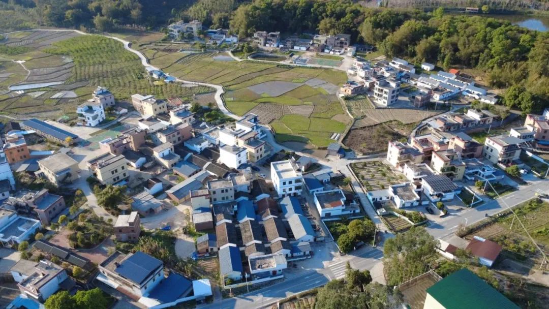 “36计”各显神通！清远乡村振兴这样干丨创建助力“百千万”