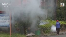 从集中消杀到生物防治,广东全民总动员开启大灭蚊! 从集中消杀到生物防治,广东全民总动员开启大灭蚊!