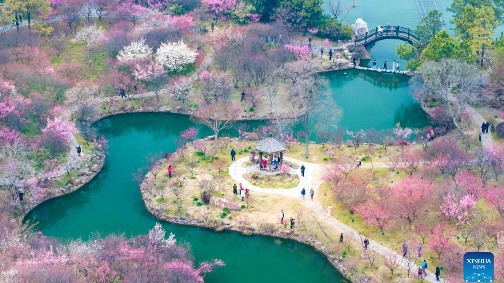 Spring scenery across China