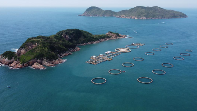 看广东发展海洋经济的“减法”“加法”“乘法”