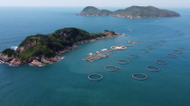 看广东发展海洋经济的“减法”“加法”“乘法” 看广东发展海洋经济的“减法”“加法”“乘法”