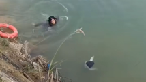韶关一女童落水!路过女子果断跳水救人:只因我也是一个母亲 韶关一女童落水!路过女子果断跳水救人:只因我也是一个母亲