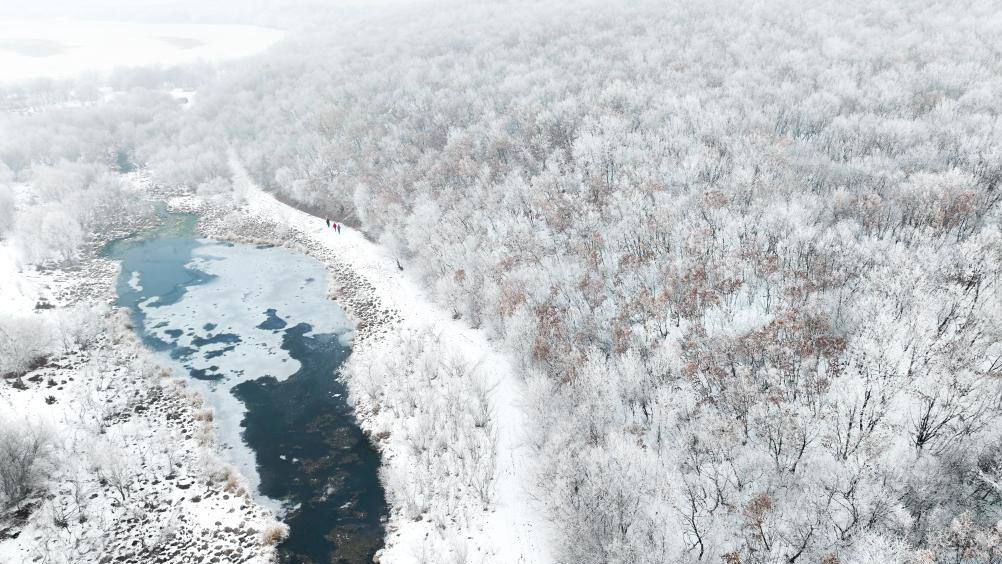 Winter scenery in Hulun Buir, north China's Inner Mongolia