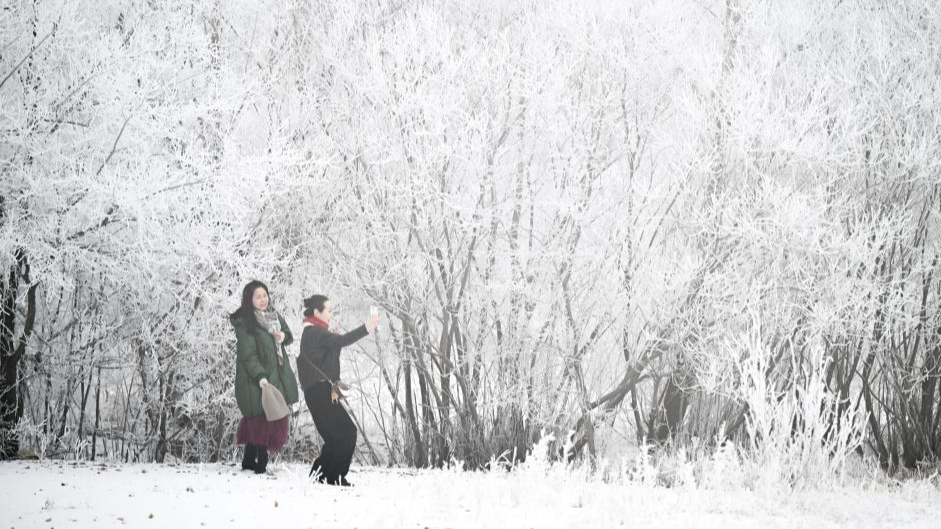 Winter scenery in Hulun Buir, north China's Inner Mongolia