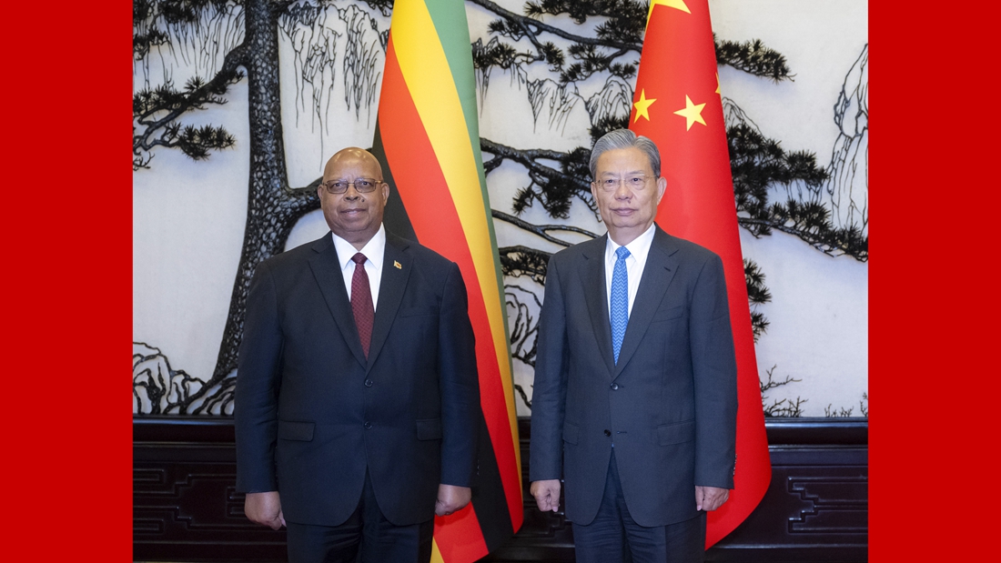 China's top legislator holds talks with speaker of Zimbabwe parliament