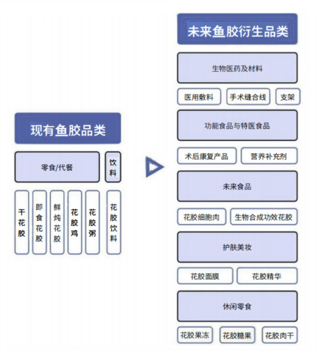 未来鱼胶品类预测
