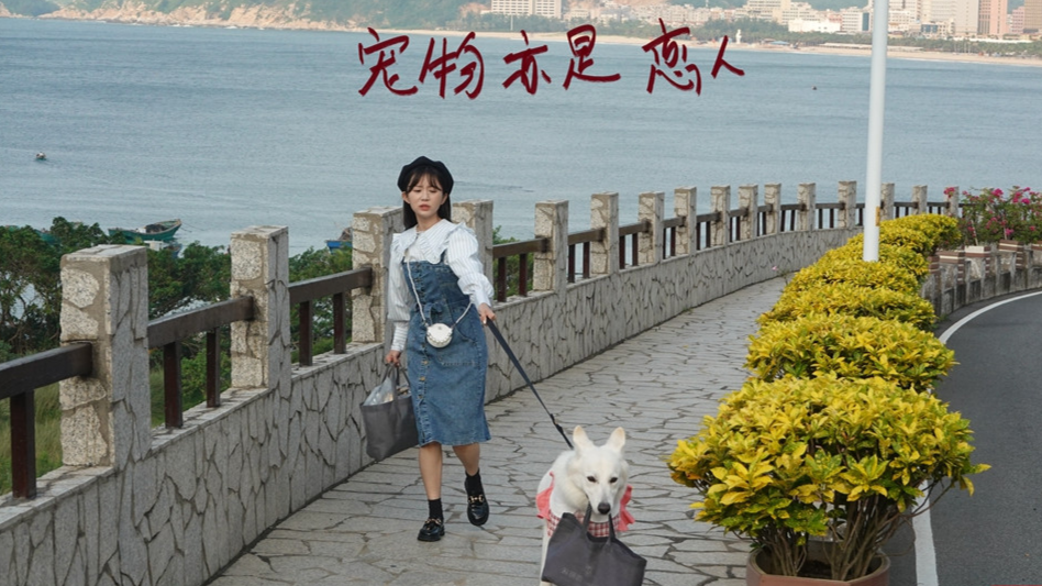 爱上一条狗？网络短剧《宠物亦是“恋人”》将在抖音首发上线