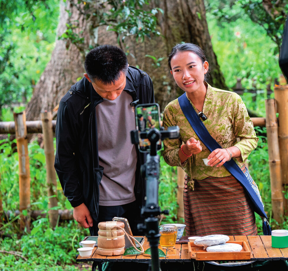 在云南景迈山大平掌古茶林，傣族姑娘仙金（右）在直播售卖普洱茶（2023年9月17日摄） 胡超摄