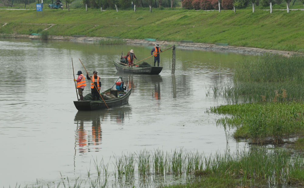 2024年4月11日，在浙江省湖州市吴兴区，河道保洁员在太湖沿岸清理非法捕鱼地笼网。