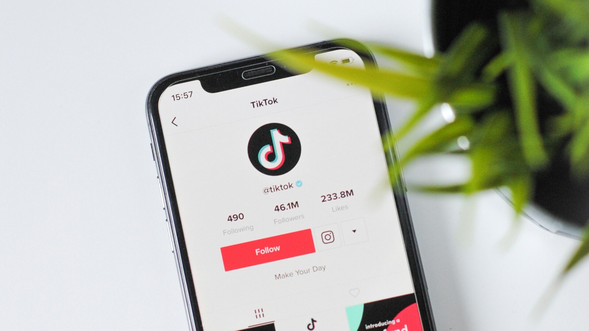 TikTok back online after Trump pledges to delay ban