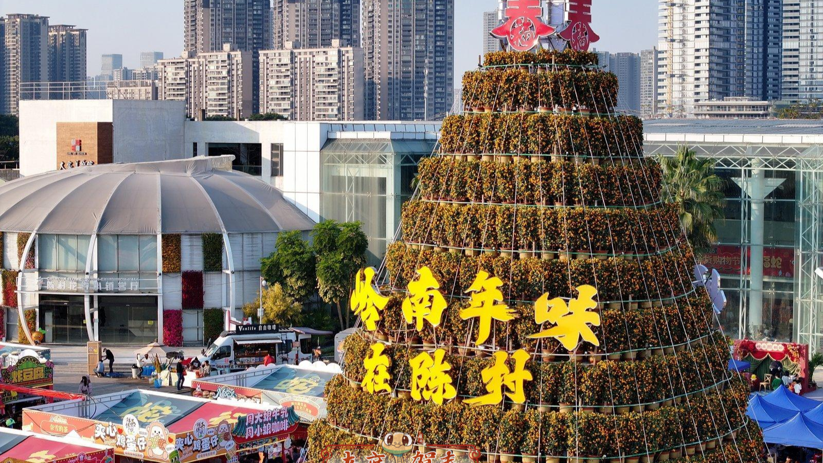 Foshan's 'Chencun New Year Tangerines' fetches record price of 39,999 yuan!