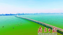 深港携手打造“双城记”新生活 两地居民干事创业前景广阔 深港携手打造“双城记”新生活 两地居民干事创业前景广阔
