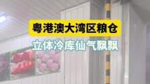 粤港澳大湾区粮仓,万吨级立体冷库仙气飘飘|高质量发展看广东 粤港澳大湾区粮仓,万吨级立体冷库仙气飘飘|高质量发展看广东