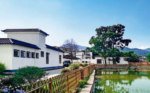 阳山:以党建引领乡村风貌换新颜 阳山:以党建引领乡村风貌换新颜