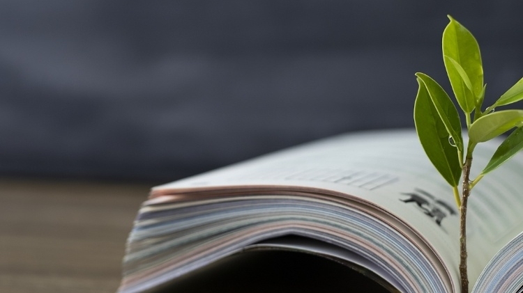 关于2026年学校体育美育卫生国防教育改革发展资金安排方案和绩效目标申报表的公示