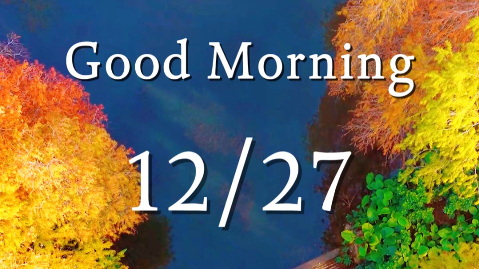 Bald cypress trees make up scenery tourists admire