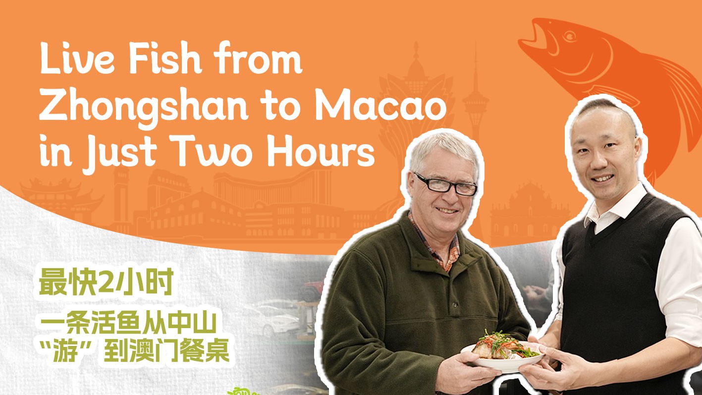 Live fish from Zhongshan to Macao in just two hours