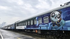 'Panda Train' offers unique view for passengers