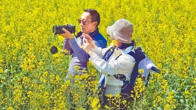 Spring awakening: A day in Shenzhen's seas of flowers