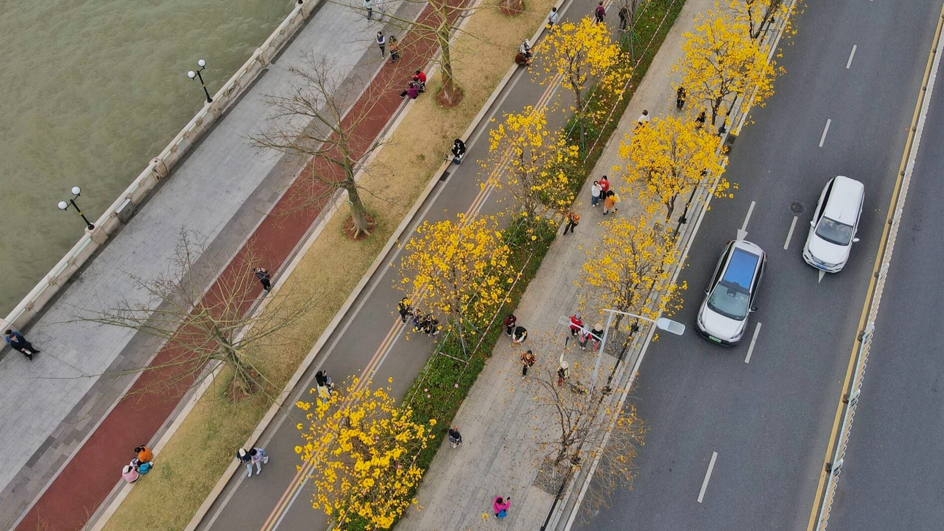 'Golden avenue' in Guangzhou's Haizhu District