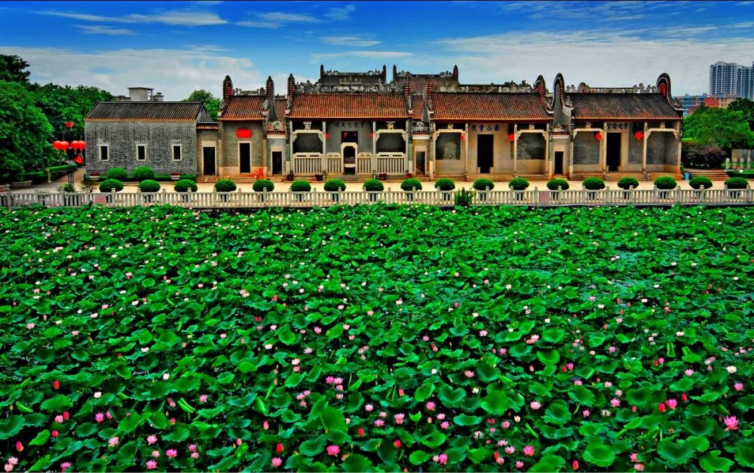 资政大夫祠荷塘绿韵（摄影：关振伦）