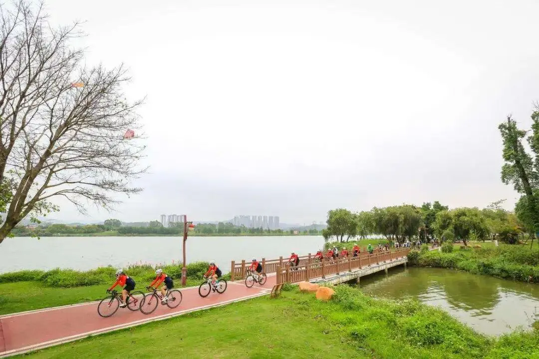 Four Guangzhou cycling routes named among China's top 100