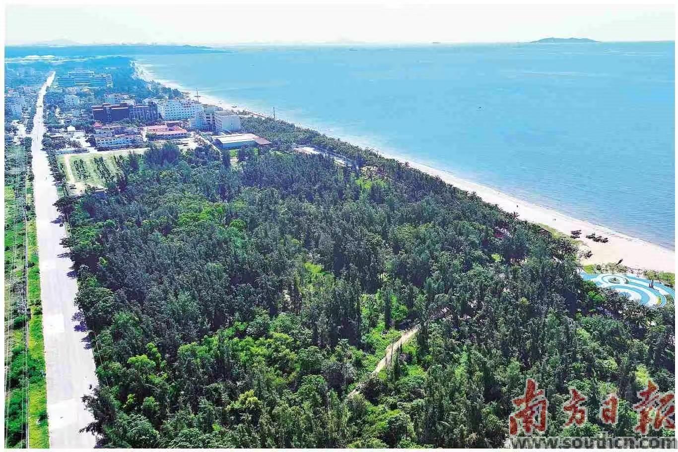 茂名依托美丽的山海资源打造短剧拍摄基地，剧组与游客纷至沓来。南方日报记者 周梁 摄